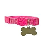 Coleira Para Cachorro Com Placa De Identificação M ROSA 