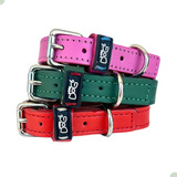 Coleira Para Cachorros Raças Mini Xxp