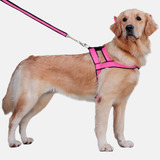 Coleira Peitoral Ajustável Cães Porte Grande Guia Passeio Cor Rosa Tamanho Da Coleira M