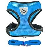 Coleira Peitoral Anti Puxão Com Guia Para Cães E Gatos - Ideal Para Filhotes- Pinscher- Shi Tzu E Raças De Porte Pequeno A Médio - NEXUS MARKET -GG- AZUL-