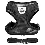 Coleira Peitoral Anti Puxão Com Guia Para Cães E Gatos Ideal Para Filhotes Pinscher Shi Tzu E Raças De Porte Pequeno A Médio NEXUS MARKET G PRETO