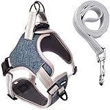 Coleira Peitoral Antipuxão Comfort Com Guia De Passeio XG Azul