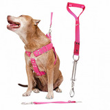 Coleira Peitoral Cachorro Guia Boxer Labrador Pit Bull Mola