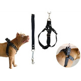Coleira Peitoral Cachorro Guia Doberman Pitbull Bulldog Pug