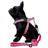 Coleira Peitoral Com Guia Longa De 2 Metros Para Cachorro Pequeno E Medio TRIANGULAR ROSA Tamanho M Circunferência 35 Cm A 50 Cm De Tórax