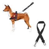 Cães