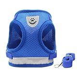Coleira Peitoral Para Cachorros E Gatos Com Colete Reflexivo Regulável E Guia De Passeio Azul M