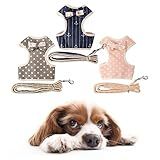 Coleira Peitoral Para Cachorros E Guia Estampada Yorkshire Shih Tzu P Rosa