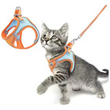 Coleira Peitoral Quays Para Pet Refletivo Laranja E Azul Tamanho Pp Ideal Para Cães E Gatos Confortável Ajustável E Seguro Com Design Moderno Para Passeios Seguros E Visibilidade Noturna
