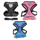 Coleira Peitoral Select Pet Com Guia Para Cachorro E Gato G Rosa