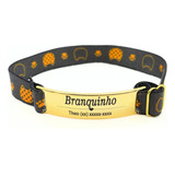 Barulho