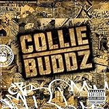 Collie Buddz St
