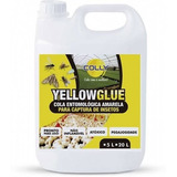 Colly Yellow Glue Cola Entomológica Amarela