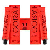 Coloração Igora Royal Schwarzkopf 2 Cores Selecione A Tinta