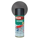 Colorgin Automotivo Spray 400 Ml Grafite