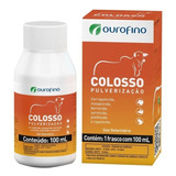Entrega