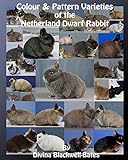 Colour Pattern Varieties Of The Netherland Dwarf Rabbit English Edition 