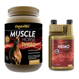 Combo 1 Muscle Horse Turbo 2
