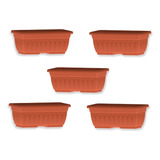 Terracota