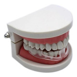 Combo Placa Maleável Protetor Dental Anti Bruxismo Estojo