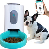 Comedouro Automático Inteligente Câes Gatos Compatível Alexa Cor Branco