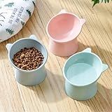 Comedouro Bebedouro Elevado Inclinado Gatos Cães Rosa