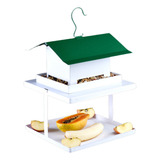 Comedouro Pássaros Livres Com Fruteira Telhado Verde