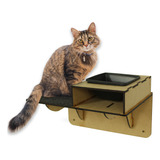 Gatos