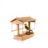 Aves