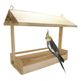 Aves