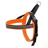 ComfortFlex Peitoral Esportivo Médio Grande Laranja Caçador