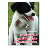 Como Cuidar Do Seu Cão E Gato De Forma Responsável