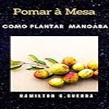 Como Planta Mangaba Pomar à Mesa Fruticultura Livro 13 