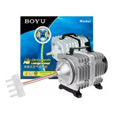 220v