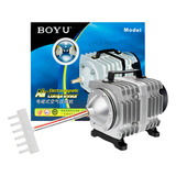 220v