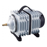 220v