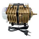 220v