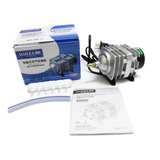 220v