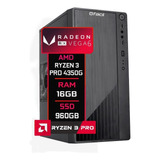 Computador Fácil Amd Ryzen 3 Pro