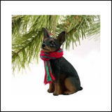 Conceitos De Conversa Em Miniatura Pinscher Minúscula Miniat