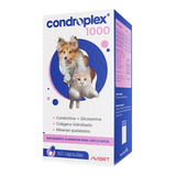 Condroplex 1000 Mg 60 Cápsulas Suplem Cães E Gatos Avert