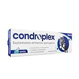 Condroplex Pasta Suplemento Alimentar Para Gatos Avert 60g