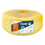 Tigre