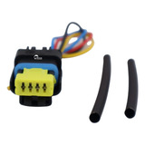 Kangoo