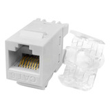 Conector Fêmea Rj45 Keystone Cat6 Branco Tomada 8 Vias