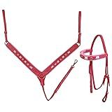 Conjunto De Cabeçada E Peitoral Bahia Rosa SV5487