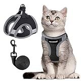 Conjunto De Coleira E Coleira Para Gatos à Prova De Fuga Ajustável Pequeno Grande Leve Macio Colete E Coleira