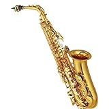 Conjunto De Saxofone Saxofone Alto E Sax Instrumento Musical Com Estojo Todos Os Acessórios