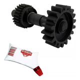 Conjunto Eixo Motor Deslizante Peccinin Gatter 3000 Graxa