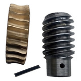 Conjunto Eixo Sem Fim E Coroa Do Motor Bv Pv 2000 Peccinin Cor Dourado